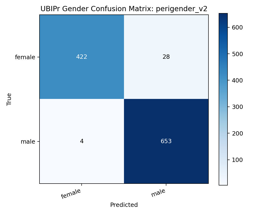 Confusion matrix for the PeriGender V2 test predictions